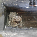 image8
